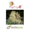 Dr Kripplin Bubblegum x Sweet Cheese Auto Seeds at one stop seeds and accessories Scotland Glasgow
