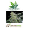 BC Bud Depot - Sweet Dreams at one stop seeds and accessories Scotland Glasgow