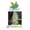BC Bud Depot - White Widow at one stop seeds and accessories Scotland Glasgow