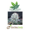 BC Bud Depot - The Big at one stop seeds and accessories Scotland Glasgow