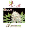 Dr Kripplin bulk smash auto Seeds at one stop seeds and accessories Scotland Glasgow