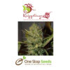 Dr Kripplin Buzz-light-gear Seeds at one stop seeds and accessories Scotland Glasgow