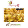 Dr Kripplin Choc matic Auto Seeds at one stop seeds and accessories Scotland Glasgow