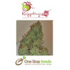 Dr Kripplin smoking gun AK47 auto Seeds at one stop seeds and accessories Scotland Glasgow