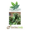 BC Bud Depot - Sweet God at one stop seeds and accessories Scotland Glasgow