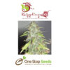 Dr Kripplins Kripple Shock Seeds at one stop seeds and accessories Scotland Glasgow