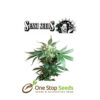 Black Domina by sensi seeds at one stop seeds and accessories Scotland Glasgow