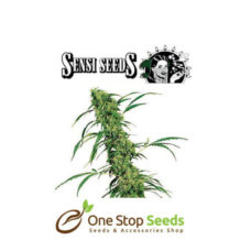 Fruity Juice by sensi seeds at one stop seeds and accessories Scotland Glasgow