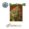 Ganesh Spirit® Available from one stop seeds and accessories Glasgow Scotland