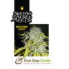 Hash Heaven seeds Available from one stop seeds and accessories Glasgow Scotland