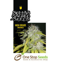 Hash Heaven seeds Available from one stop seeds and accessories Glasgow Scotland