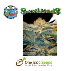 Mohan Ram Available from one stop seeds and accessories Glasgow Scotland
