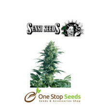 Mother's Finest by sensi seeds at one stop seeds and accessories Scotland Glasgow