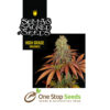 Rockbud seeds Available from one stop seeds and accessories Glasgow Scotland