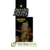 Soma G13 Haze X Somango Available from one stop seeds and accessories Glasgow Scotland