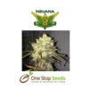 Supreme CBD Durban seeds at one stop seeds and Accessories Scotland Glasgow