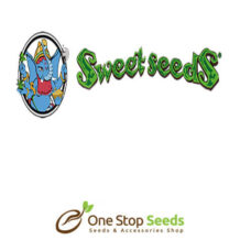 Sweet seeds F1
