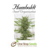 Dr. Greenthumb’s Dedoverde Haze Auto Available from one stop seeds and accessories Glasgow Scotland