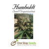 Sapphire OG Femanised Available from one stop seeds and accessories Glasgow Scotland
