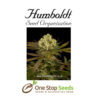 Sour Blueberry Femanised Available from one stop seeds and accessories Glasgow Scotland