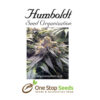 Bubba’s Gift Femanised Available from one stop seeds and accessories Glasgow Scotland