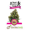 Candy Kush Express (Fast Flowering) Available from one stop seeds and accessories Glasgow Scotland