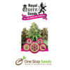 Feminized Mix from one stop seeds and accessories Glasgow Scotland