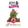 Kali Dog Available from one stop seeds and accessories Glasgow Scotland