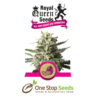 Lemon Shining Silver Haze from one stop seeds and accessories Glasgow Scotland