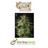 Afgooey (Strain Hunters Seed Bank) Available from one stop seeds and accessories Glasgow Scotland head shop