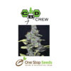 CBD MediHaze Available from one stop seeds and accessories Glasgow Scotland head shop
