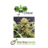 CBD Therapy Available from one stop seeds and accessories Glasgow Scotland head shop
