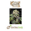 Caboose (Strain Hunters Seed Bank) Available from one stop seeds and accessories Glasgow Scotland head shop