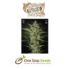 Flowerbomb Kush Available from one stop seeds and accessories Glasgow Scotland head shop