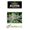 Allstar Seeds King Kong Available from one stop seeds and accessories Glasgow Scotland head shop