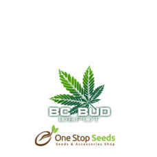 BC Bud Depot
