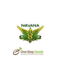 Nirvana