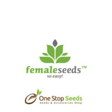 Female Seeds
