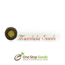 Mandala Seeds