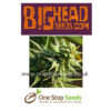 Buzz ’n’ Smiles from Big Head seeds at one stop seeds and accessories Scotland