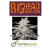 Freeze Berry Auto from Big Head seeds at one stop seeds and accessories Scotland