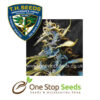 Automatic Northern Hog Cannabis marijuana cannabis seeds at one stop seeds and accessories Scotland Glasgow