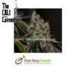 Chem 91 Feminised Marijuana Seeds by Cali Connection at one stop seeds and accessories Scotland Glasgow uk