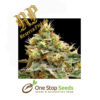 Confidential Cheese Feminized Marijuana Seeds