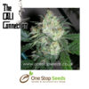 Product Features Flowering time – 8 weeks Yield 650g + 60% Sativa 40% Indica