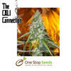 Original Sour Diesel Female Marijuana Seeds by Cali Connection Cannabis Seeds Marijuana Seeds Cannabis Seeds Female seeds Cannabis Seeds Female Cannabis Seeds by Cali Connection at one stop seeds and accessories Scotland Glasgow uk