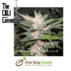 Purple Chem Female Seeds by Cali Connection Cannabis Seeds Marijuana Seeds Cannabis Seeds Female seeds Cannabis Seeds Female Cannabis Seeds by Cali Connection at one stop seeds and accessories Scotland Glasgow uk