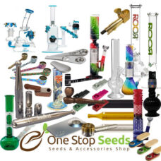 Pipes & Bongs