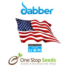 Dr. Dabber