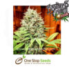 Grimmdica Regular Seeds cannabis seeds at one stop seeds and accessories Scotland Glasgow uk